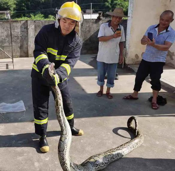 广东最新可生三孩条件概述