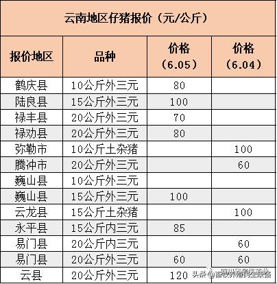 小猪价格今日动态，最新消息与市场影响因素分析