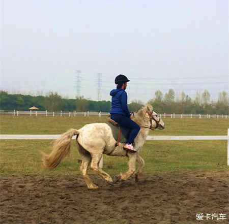 骑白马的农民，新时代农村探索之旅