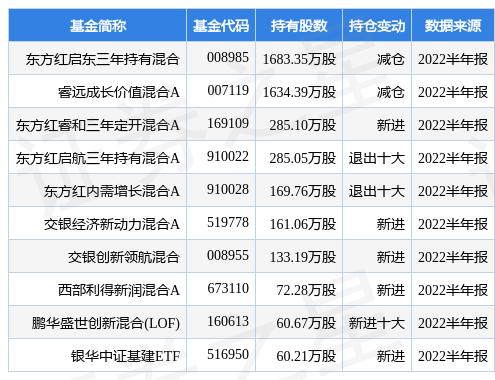 东方红9号最新净值揭秘，深度解析与市场洞察