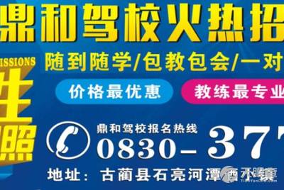 南安最新司机招聘，职业发展机遇与挑战并存