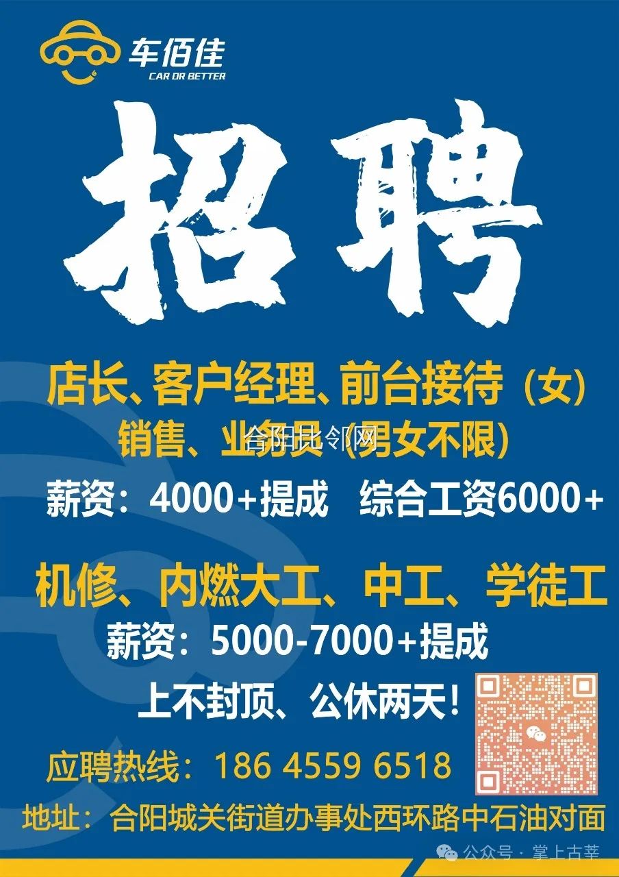 合阳招聘网最新招聘动态深度解读报告