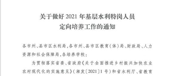 基层特定岗位最新文件解读与实施策略详解