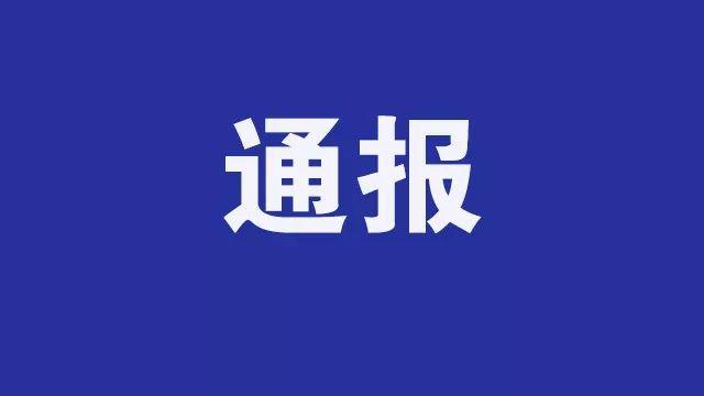 海利达王海最新动态，迈向未来的战略步伐与决策者眼光