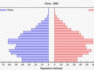 最新中国人口统计揭示大国人口变迁及未来趋势展望