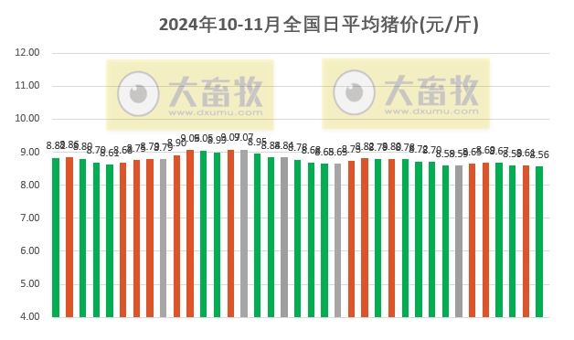 雾中仙子 第4页