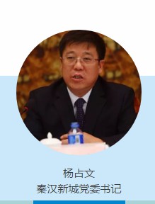 秦汉杨占文最新动态，历史传承与现代发展的融合交汇点