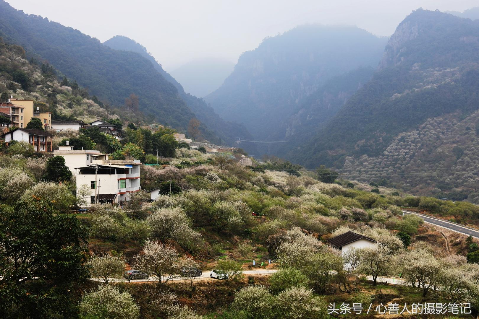 永泰葛岭镇未来蓝图，繁荣与生态和谐的最新规划图揭秘