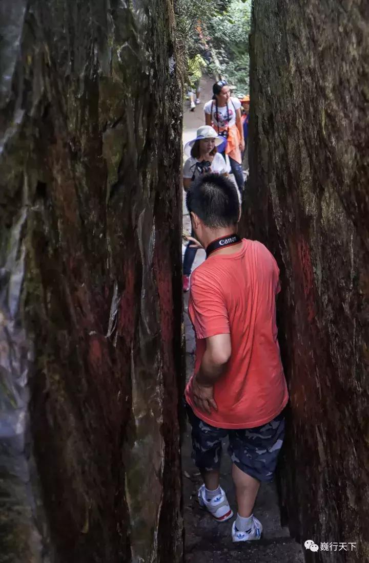 高天古道最新动态，历史与未来的交汇点揭秘