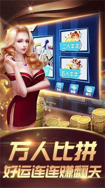 最新金星棋牌探索，游戏特色与创新亮点一览