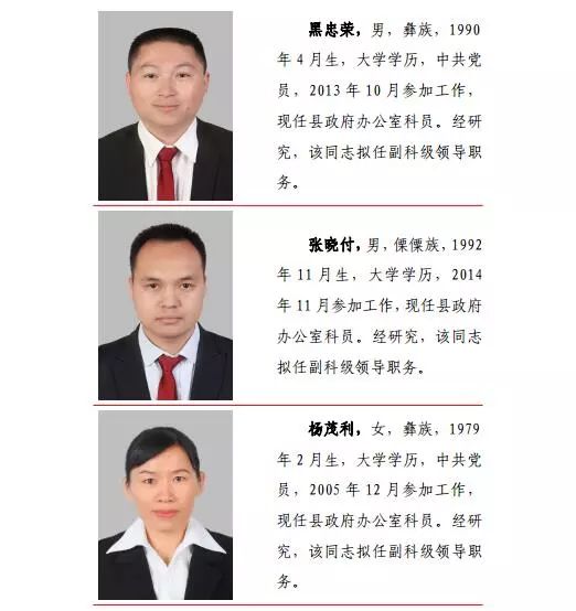 南涧县人事任免名单最新公布