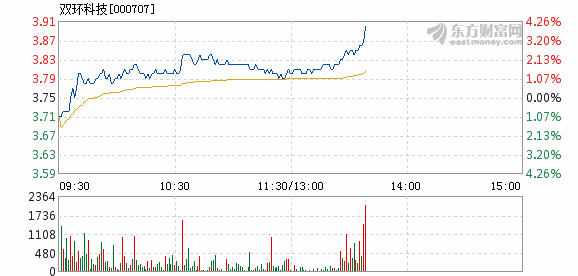 双环科技重组引领行业变革，重塑企业未来之路