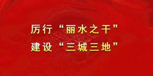 珠海金鼎最新招聘启事，职位信息大揭秘