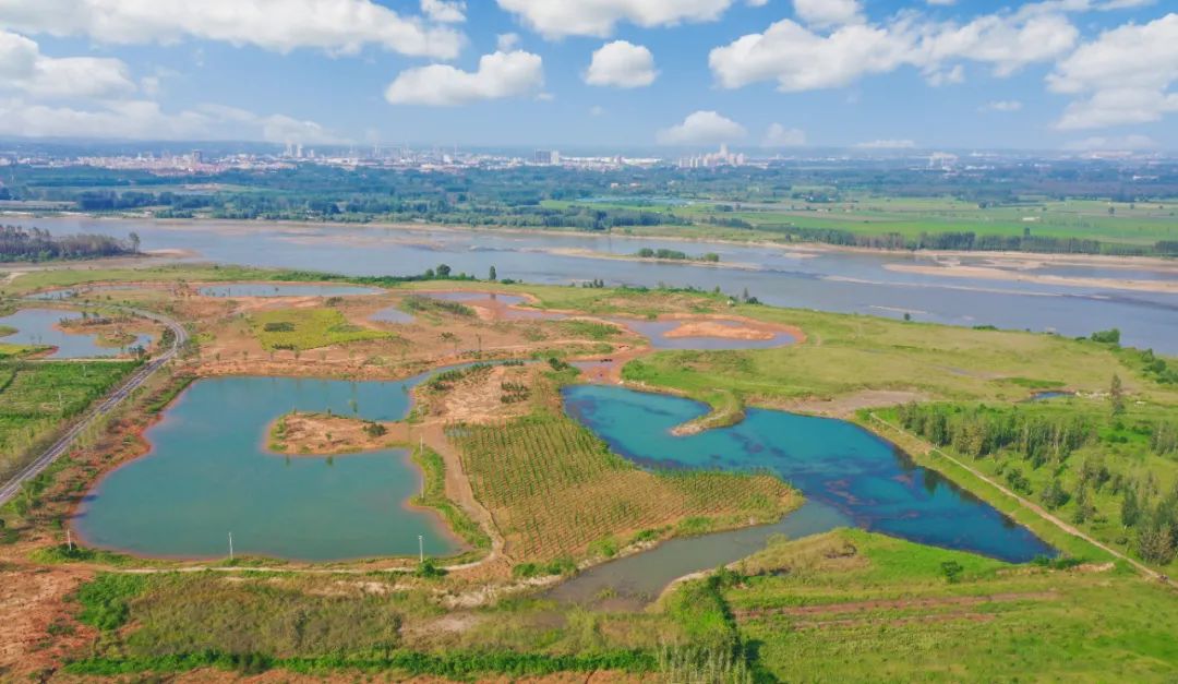 孟津龙泉湿地生态修复与保护成果展示，最新进展一览