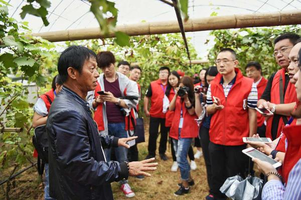 中牟县刁家乡事件最新纪实报道