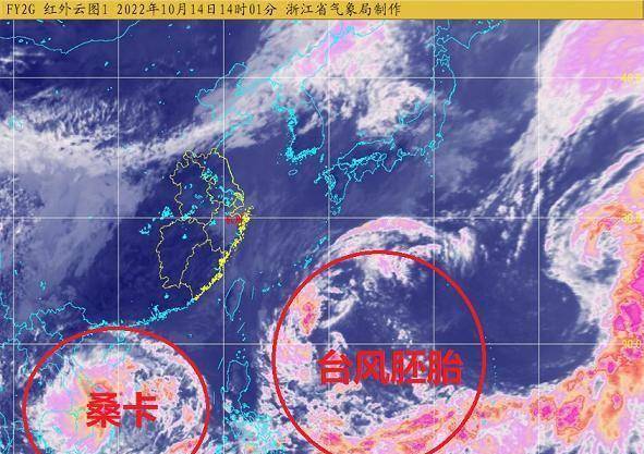 今年第19号台风最新动态解析及应对指南