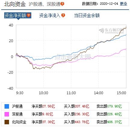 金安国纪最新动态，深度剖析与未来展望