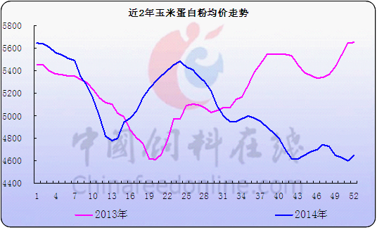 玉米定粉最新行情走势图与影响因素深度解析