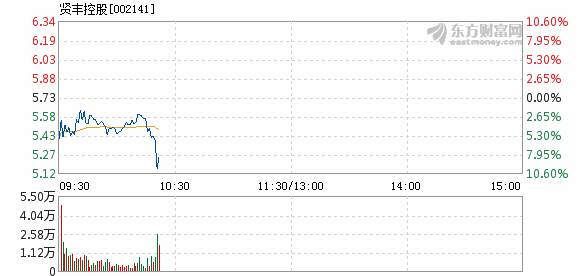 贤丰控股停牌最新消息，深度解析及前景展望