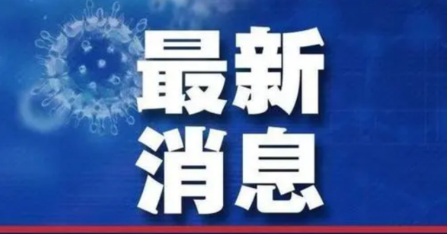 揭秘2018年百家利创新突破，蓬勃发展新动态