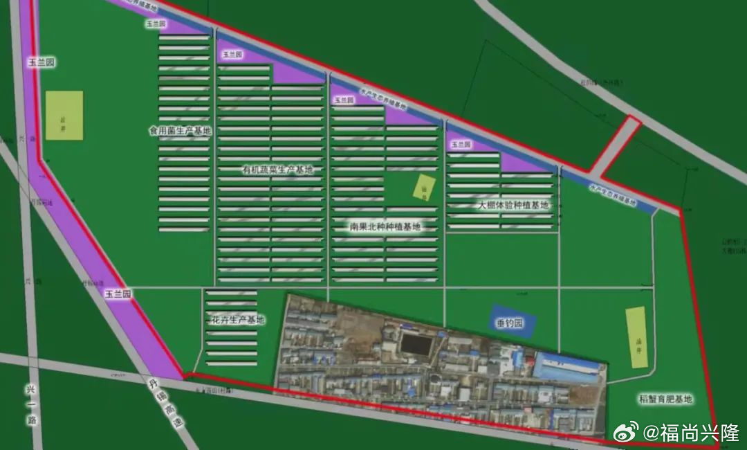 振兴街道最新发展规划，塑造未来城市新面貌蓝图