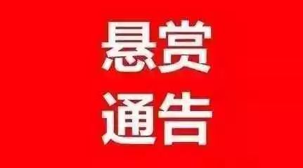 桐棉乡最新招聘信息全面解析