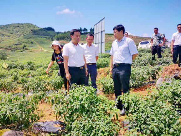 夏果村典范项目，引领乡村发展的领航者