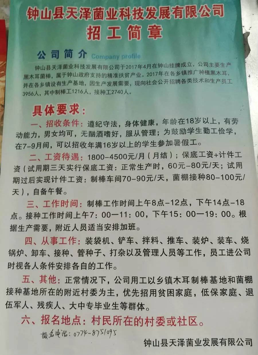 边普村最新招聘信息详解及解读