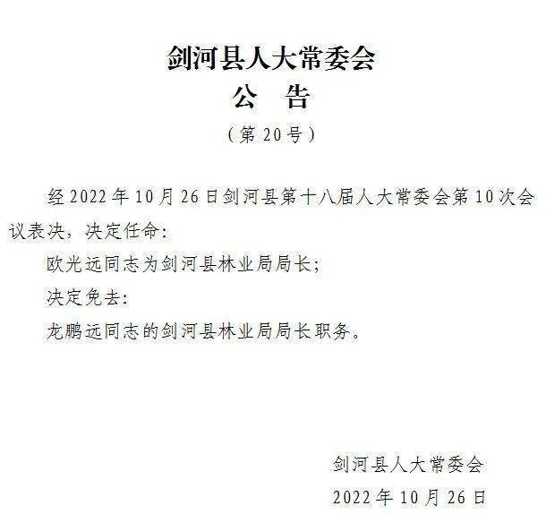 刘河乡人事任命揭晓，推动地方发展的新生力量