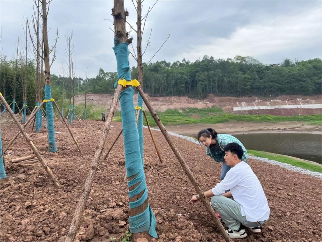 永川区审计局最新动态报道