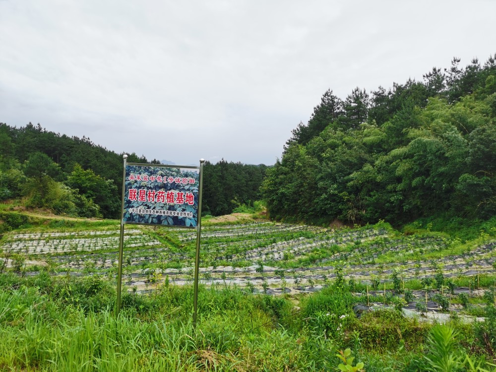 黄蒿湾村委会最新招聘概览