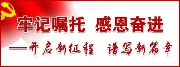 陇川县农业农村局新项目推动农业现代化，乡村振兴再添动力