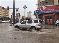 海东街道最新动态探索新闻前沿报道