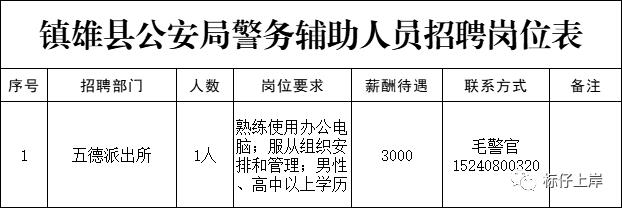 施甸县公安局最新招聘信息详解