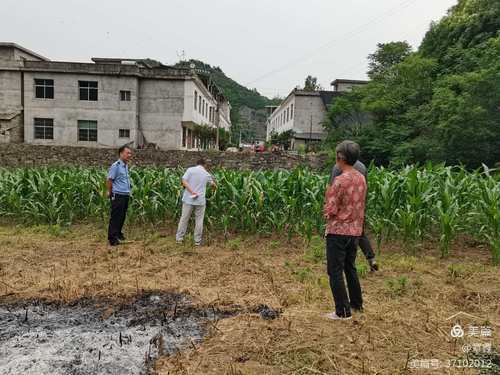 菜籽地村乡村振兴与社区发展新篇章揭晓