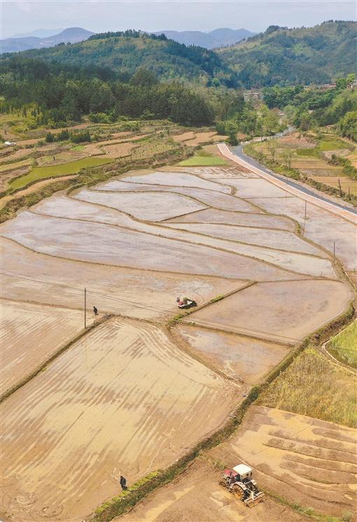 夏荣村最新新闻速递