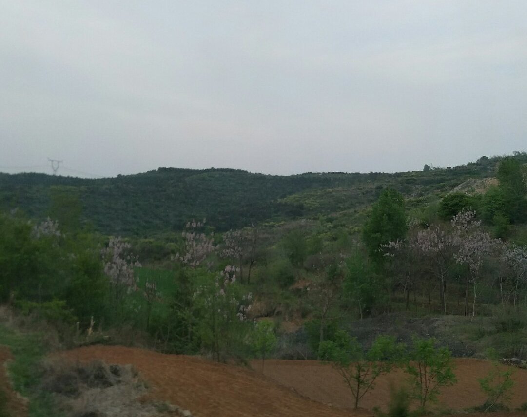 山西省晋城市阳城县演礼乡天气预报更新通知