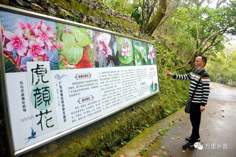 花滩林场招聘信息发布与职业发展机遇深度探讨