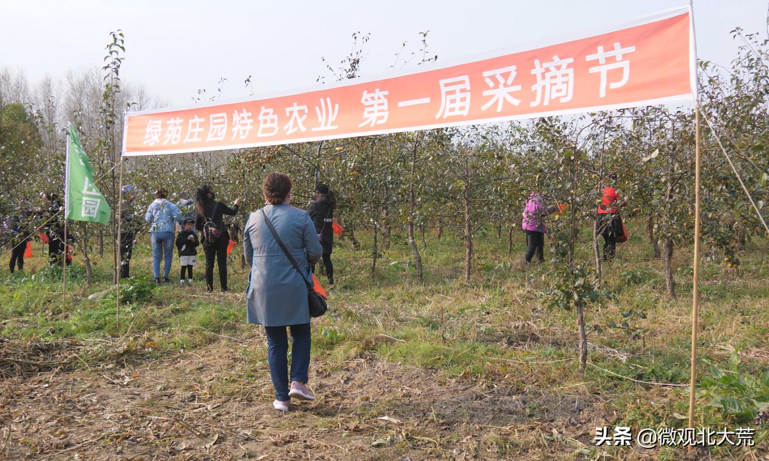 绥滨农场最新动态报道