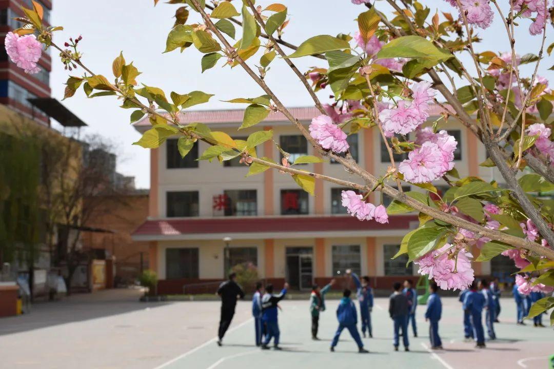 临洮街北街社区重塑未来，打造宜居新典范项目启动