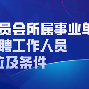 港闸区统计局最新招聘信息全面解析