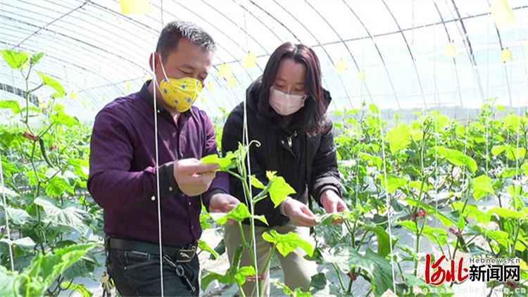 景县市场监管局启动新项目推动市场规范化，提振消费者信心