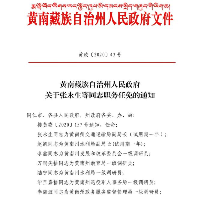 查那强村最新人事任命动态及其深远影响