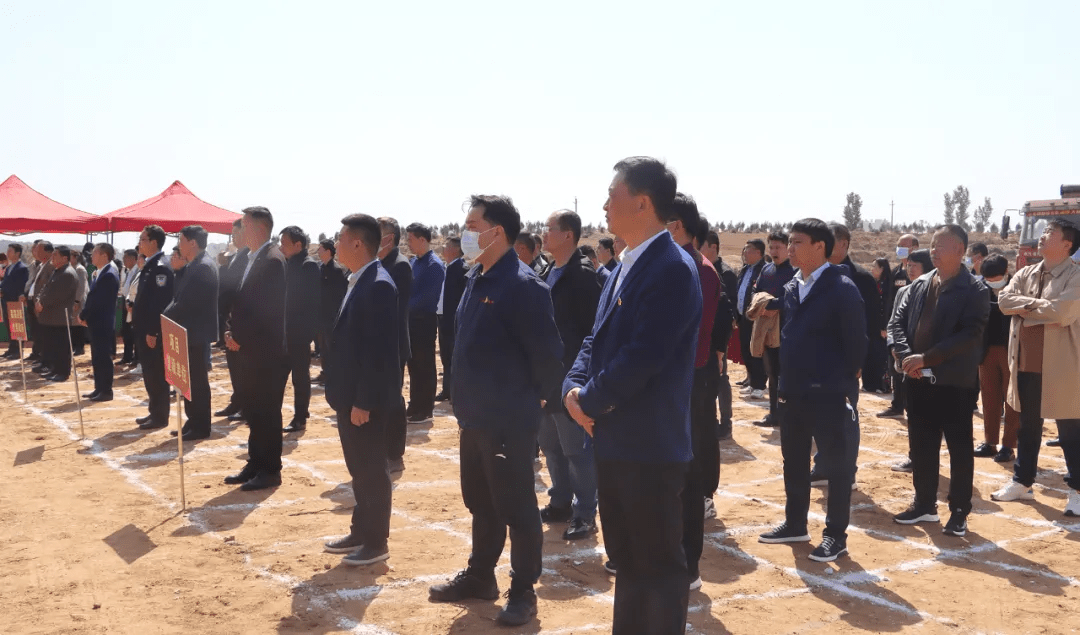 鸭合村委会最新项目，乡村振兴的新动力